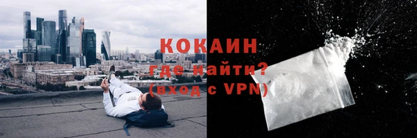 молекула духа Алексин