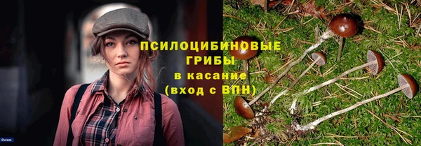 индика Губаха