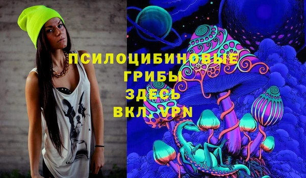 spice Алзамай