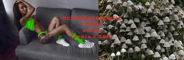 apvp Алексеевка