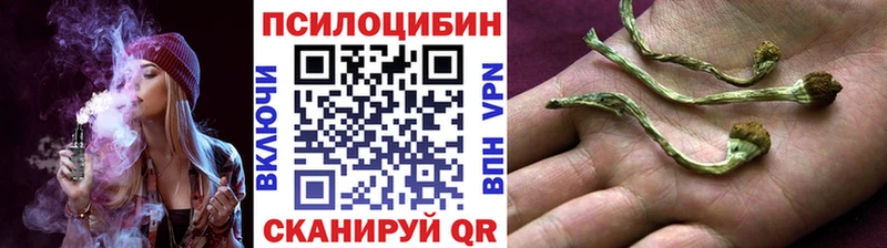 Псилоцибиновые грибы мухоморы Моздок