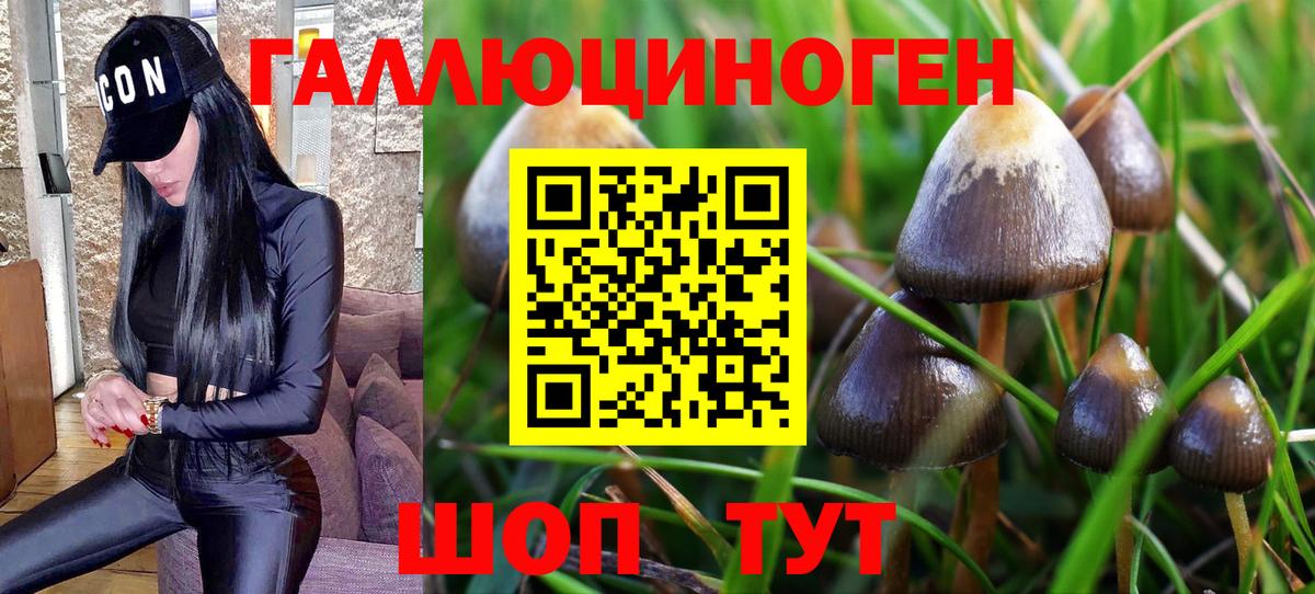 Псилоцибиновые грибы MAGIC MUSHROOMS  Вход с VPN  Моздок 